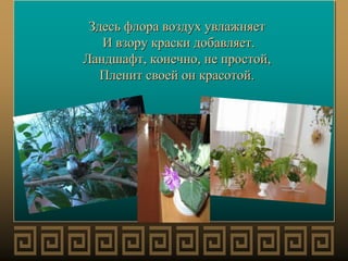 Здесь флора воздух увлажняет
И взору краски добавляет.
Ландшафт, конечно, не простой,
Пленит своей он красотой.
 