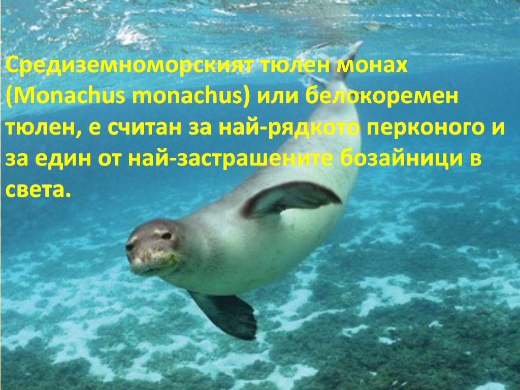 животни в червената книга на България