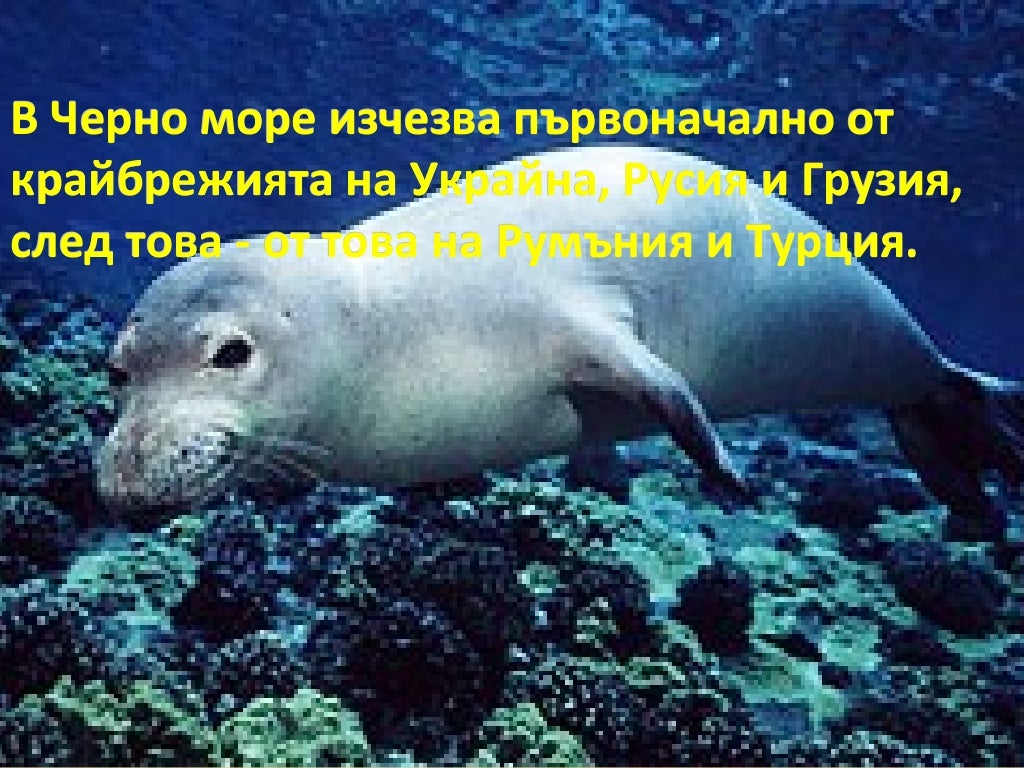 животни в червената книга на България