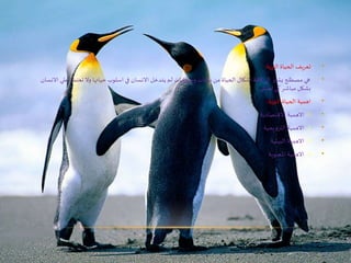 •‫البرية‬ ‫الحياة‬ ‫تعريف‬:
•‫ع‬ ‫تعتمد‬ ‫وال‬ ‫حياتها‬ ‫اسلوب‬ ‫في‬ ‫االنسان‬ ‫يتدخل‬ ‫لم‬ ‫وحيوانات‬ ‫نباتات‬ ‫من‬ ‫الحياة‬ ‫اشكال‬ ‫كافة‬ ‫الي‬ ‫يشير‬ ‫مصطلح‬ ‫هي‬‫االنسان‬ ‫لي‬
‫تعيش‬ ‫كي‬ ‫مباشر‬ ‫بشكل‬
•‫البرية‬ ‫الحياة‬ ‫اهمية‬:
•1-‫االهمية‬‫االقتصادية‬
•2-‫الترويحية‬ ‫االهمية‬
•3-‫البيئية‬ ‫االهمية‬
•4-‫االهمية‬‫املعنوية‬
 