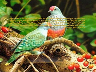 التنوع الاحيائي