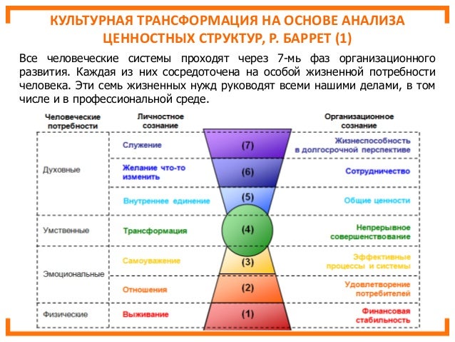 Способы культурной трансмиссии