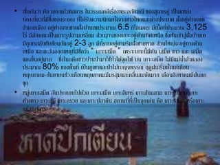 • เชื่อกันว่า คือ เกาะแก้วพิสดาร ในวรรณคดีเรื่องพระอภัยมณี ของสุนทรภู่ เป็นแหล่ง
ท่องเที่ยวที่มีชื่อของระยอง ที่ได้รับความนิยมทั้งจากชาวไทยและต่างประเทศ ตั้งอยู่ตาบลเพ
อาเภอเมือง อยู่ห่างจากชายฝั่งบ้านเพประมาณ 6.5 กิโลเมตร มีเนื้อที่ประมาณ 3,125
ไร่ มีลักษณะเป็นเกาะรูปสามเหลี่ยม ส่วนฐานของเกาะอยู่ด้านทิศเหนือ ซึ่งหันเข้าสู่ฝั่งบ้านเพ
มีภูเขาสลับซับซ้อนกันอยู่ 2-3 ลูก มีที่ราบอยู่ตามริมฝั่งชายหาด ส่วนใหญ่จะอยู่ทางด้าน
เหนือ และตะวันออกเหตุที่มีชื่อว่า “ เกาะเสม็ด ” เพราะเกาะนี้มีต้น เสม็ด ขาว และ เสม็ด
แดงขึ้นอยู่มาก ซึ่งในอดีตชาวบ้านนามาใช้ทาไต้จุดไฟ บน เกาะเสม็ด ไม่มีแม่น้าลาคลอง
ประมาณ 80% ของพื้นที่ เป็นภูเขาและป่ าไม้เบญจพรรณ ฤดูฝนเริ่มตั้งแต่เดือน
พฤษภาคม-กันยายนช่วงเดือนพฤษภาคมมีมรสุมและคลื่นลมจัดมาก เดือนสิงหาคมมีฝนตก
ชุก
• หมู่เกาะเสม็ด อันประกอบไปด้วย เกาะเสม็ด เกาะจันทร์ เกาะสันฉลาม เกาะหินขาว เกาะ
ค้างคาว เกาะกุฎี เกาะกรวย และเกาะปลาตีน สถานที่ที่เป็นจุดเด่น คือ เกาะเสม็ด หรือเกาะ
แก้วพิศดาร
 