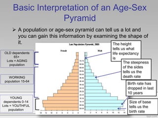 Basic Interpretation of an Age-Sex
Pyramid
 A population or age-sex pyramid can tell us a lot and
you can gain this information by examining the shape of
it. The height
tells us what
life expectancy
is
The steepness
of the sides
tells us the
death rate
Birth rate has
dropped in last
10 years
Size of base
tells us the
birth rate
YOUNG
dependents 0-14
Lots = YOUTHFUL
population
WORKING
population 15-64
OLD dependents
65+
Lots = AGING
population
 