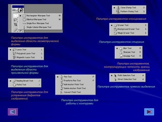 Палитра инструментов для
выделения области геометрической
формы
Палитра инструментов для
выделения области
произвольной формы
Палитра инструментов для
устранения дефектов
изображений
Палитра инструментов клонирования
Палитра инструментов стирания
Палитра инструментов,
контролирующих четкость границ
изображения
Палитра инструментов прямого выделения
Палитра инструментов для
работы с контурами
 