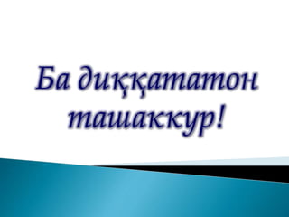 ppt