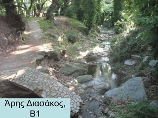 Άρης Διασάκος,
Β1
 