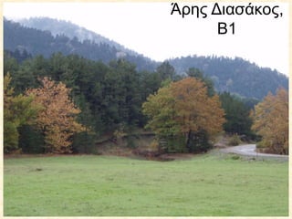 Άρης Διασάκος,
Β1
 