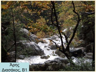 Άρης
Διασάκος, Β1
 