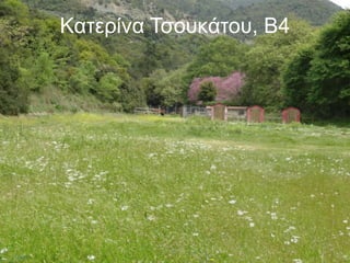 Κατερίνα Τσουκάτου, Β4
 