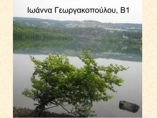 Ιωάννα Γεωργακοπούλου, Β1
 