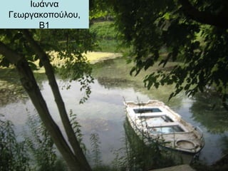 Ιωάννα
Γεωργακοπούλου,
Β1
 