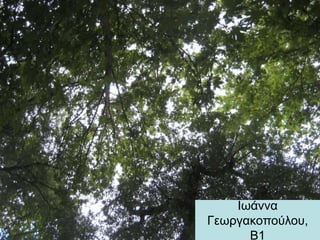Ιωάννα
Γεωργακοπούλου,
Β1
 