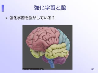 強化学習と脳
• 強化学習を脳がしている？
143
 