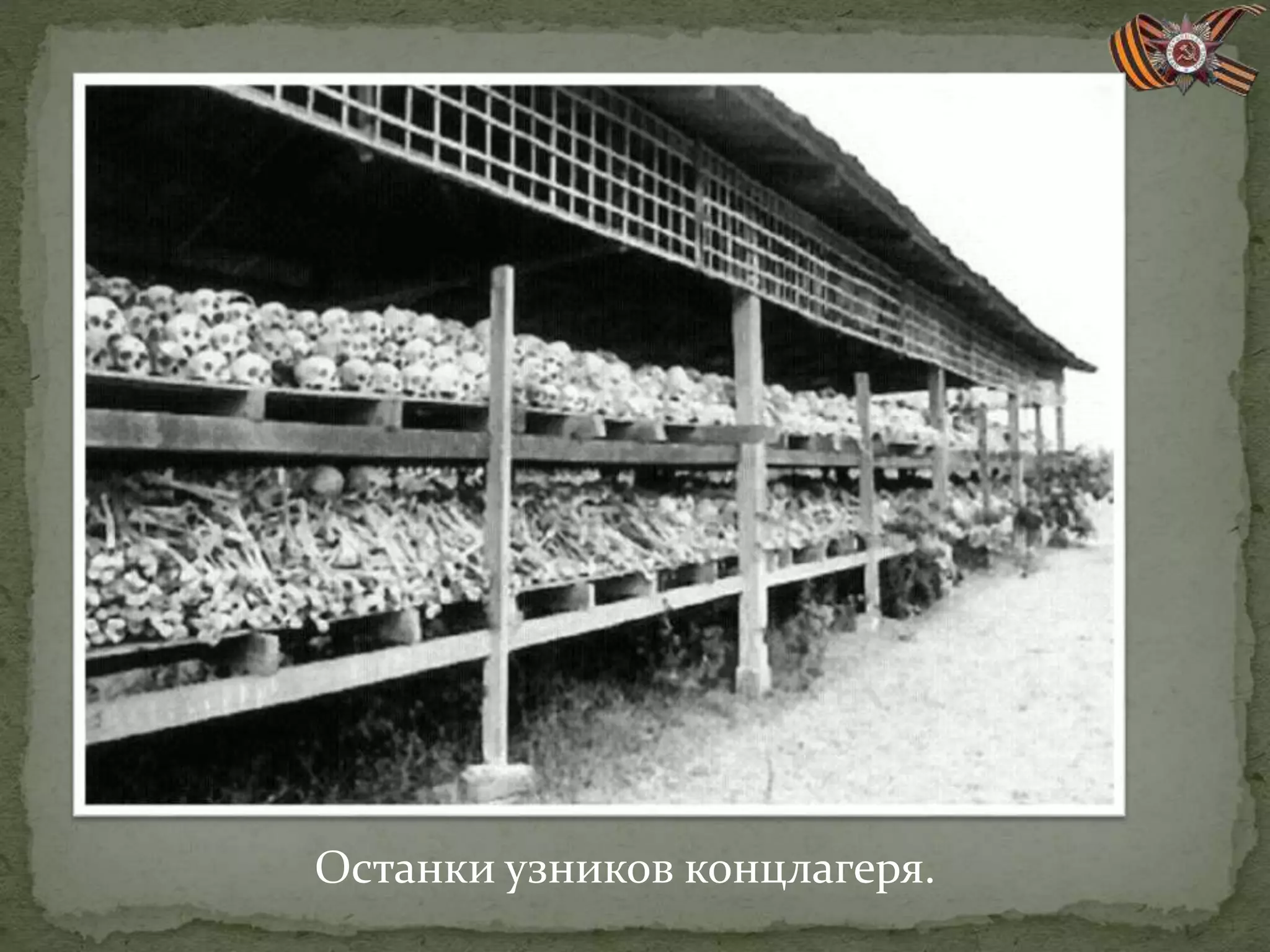 Останки узников концлагеря.
 