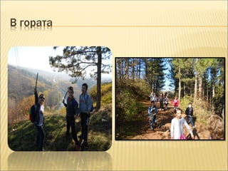 В гората
 