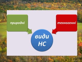 види
НС
природні техногенні
 