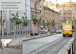 Приклад озеленення
вул. Городоцької
силами мешканців
 
