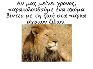 Αν μας μείνει χρόνος,
παρακολουθούμε ένα ακόμα
βίντεο με τη ζωή στα πάρκα
άγριων ζώων.
 