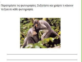 Ένα γράμμα για την Ιωάννα