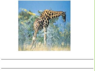 Ένα γράμμα για την Ιωάννα