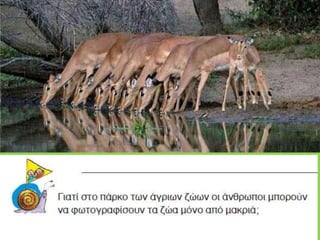 Ένα γράμμα για την Ιωάννα