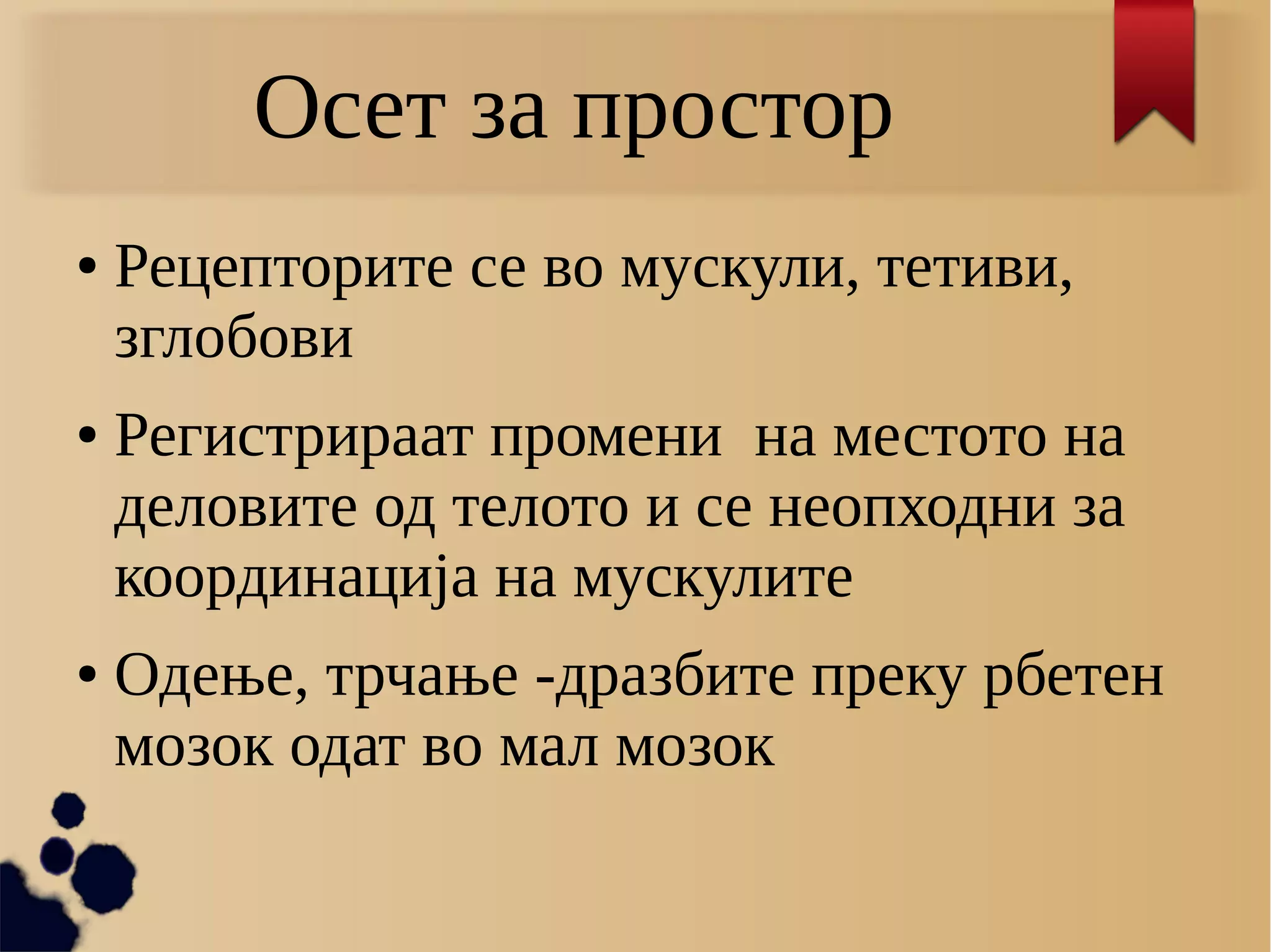 Осет за простор
● Рецепторите се во мускули, тетиви,
зглобови
● Регистрираат промени на местото на
деловите од телото и се неопходни за
координација на мускулите
● Одење, трчање -дразбите преку рбетен
мозок одат во мал мозок
 