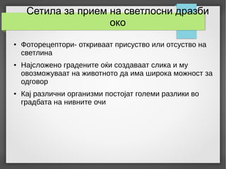 Сетила за прием на светлосни дразби
око
● Фоторецептори- откриваат присуство или отсуство на
светлина
● Најсложено градените оќи создаваат слика и му
овозможуваат на животното да има широка можност за
одговор
● Кај различни организми постојат големи разлики во
градбата на нивните очи
 