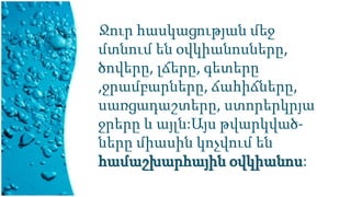 Ջուր հասկացության մեջ
մտնում են օվկիանոսները,
ծովերը, լճերը, գետերը
,ջրամբարները, ճահիճները,
սառցադաշտերը, ստորերկրյա
ջրերը և այլն:Այս թվարկված-
ները միասին կոչվում են
համաշխարհային օվկիանոս:
 