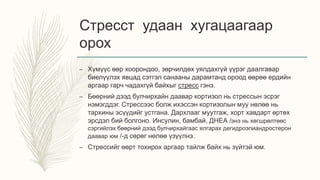 Стресст удаан хугацаагаар
орох
– Хүмүүс өөр хоорондоо, зөрчилдөх уялдахгүй үүрэг даалгавар
биелүүлэх явцад сэтгэл санааны дарамтанд ороод өөрөө ердийн
аргаар гарч чадахгүй байхыг стресс гэнэ.
– Бөөрний дээд булчирхайн даавар кортизол нь стрессын эсрэг
нэмэгддэг. Стрессээс болж ихэссэн кортизолын муу нөлөө нь
тархины эсүүдийг устгана. Дархлааг муутгаж, хорт хавдарт өртөх
эрсдэл бий болгоно. Инсулин, бамбай, ДНЕА /энэ нь хөгшрөлтөөс
сэргийлэх бөөрний дээд булчирхайгаас ялгарах дегидроэпиандростерон
даавар юм /-д сөрөг нөлөө үзүүлнэ.
– Стрессийг өөрт тохирох аргаар тайлж байх нь зүйтэй юм.
 