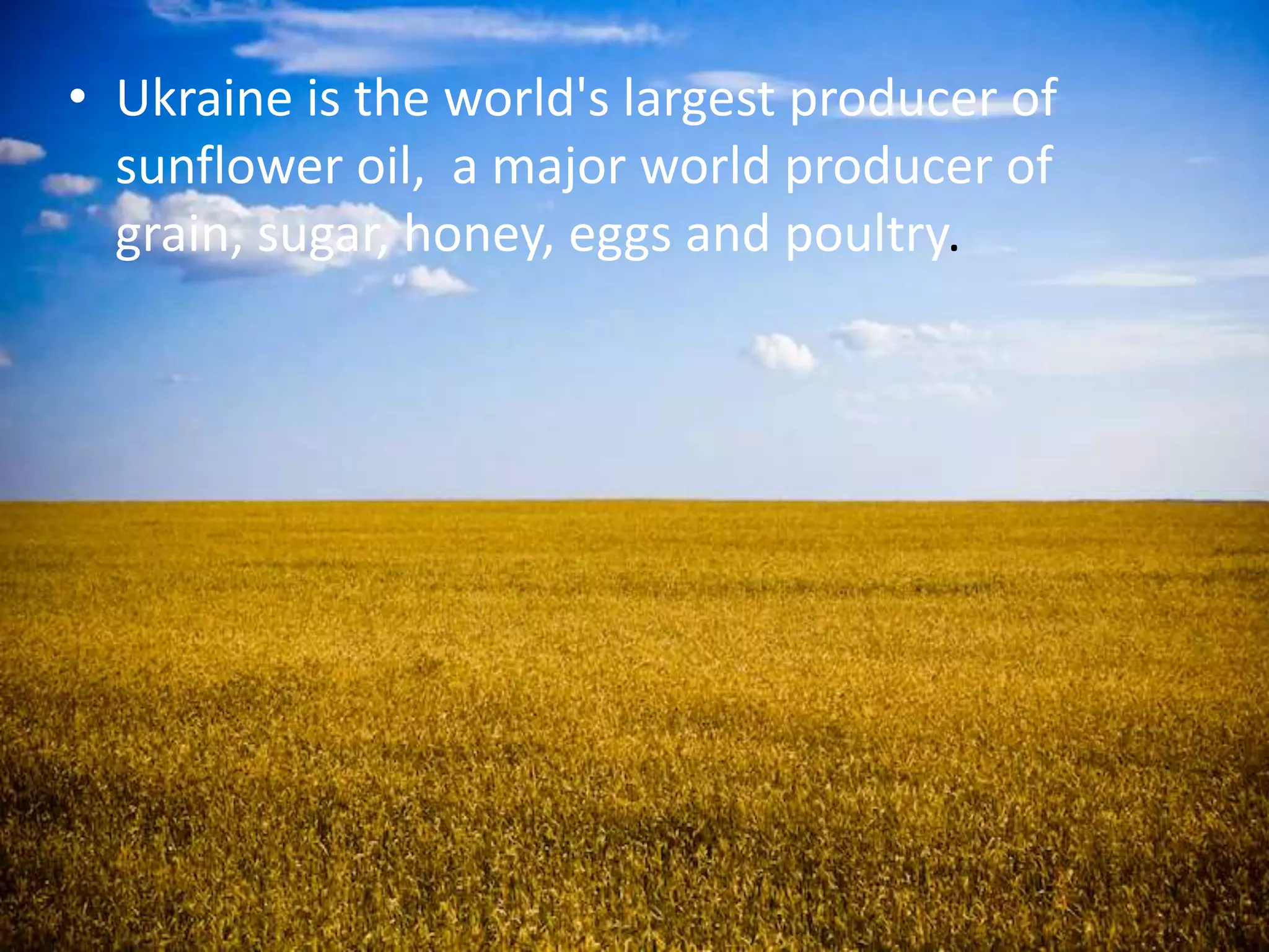 • Ukraine is the world's largest producer of
sunflower oil, a major world producer of
grain, sugar, honey, eggs and poultry.