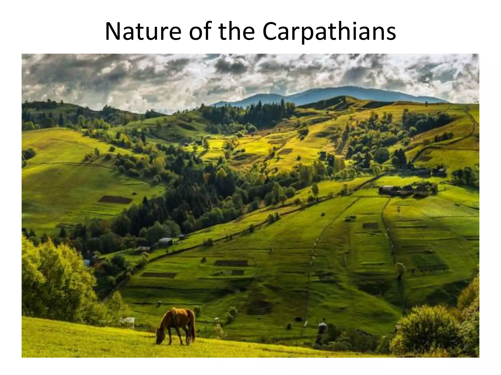 Nature of the Carpathians