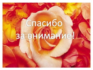 портфолио класса