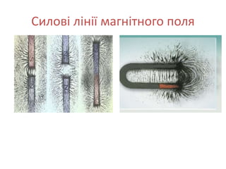 Силові лінії магнітного поля
 