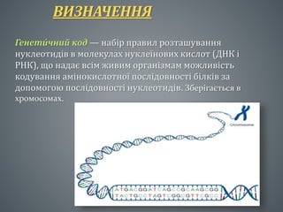 Генетичний код | PPT