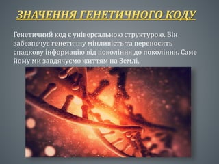 Генетичний код | PPT
