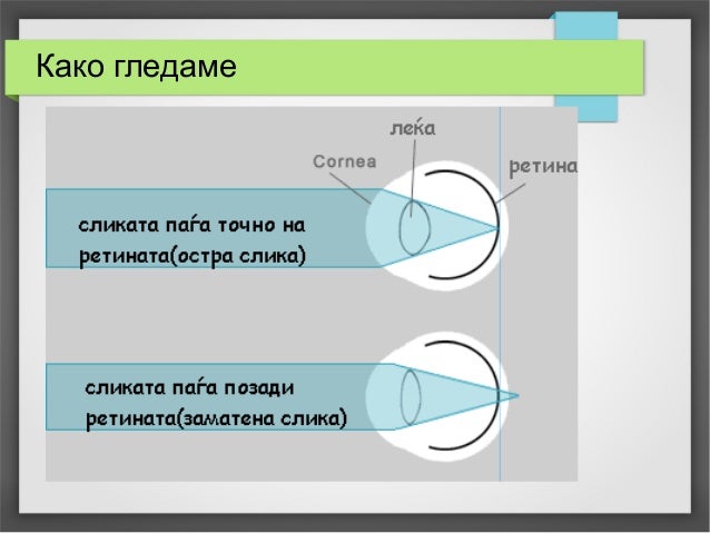 око орган за гледање