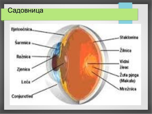 Принцип око за око