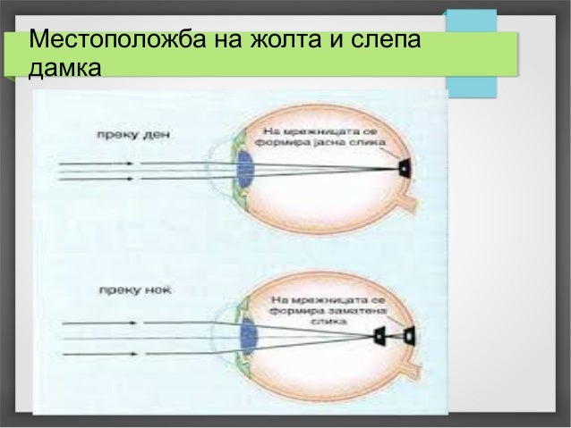 Принцип око за око