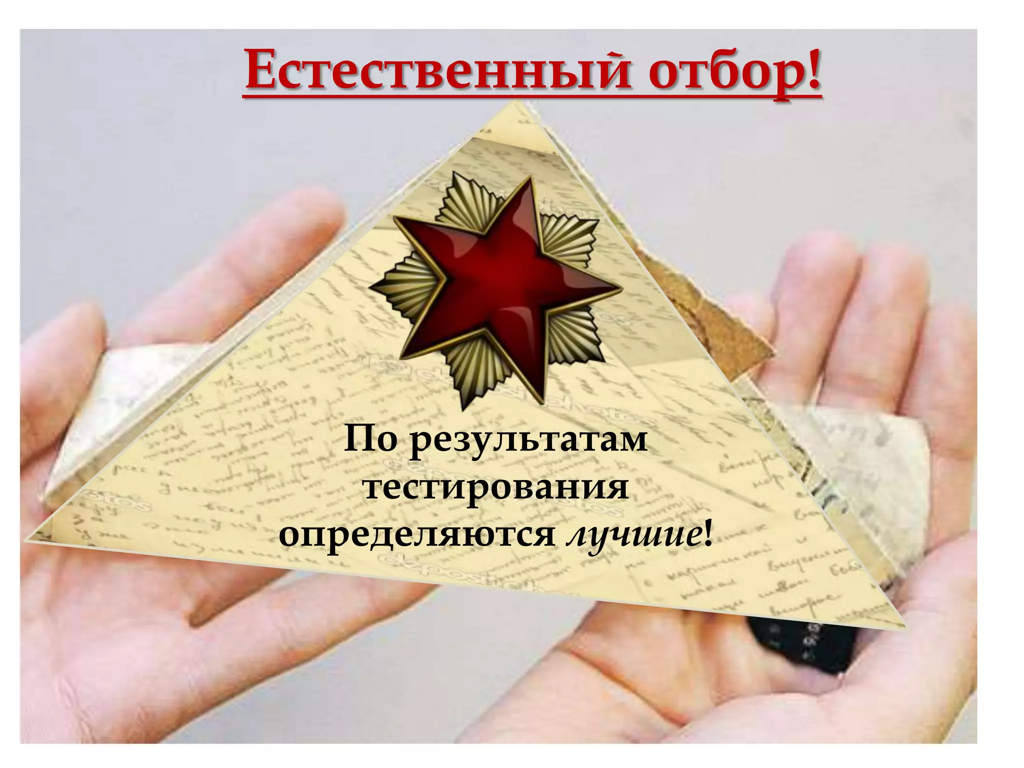 Естественный отбор!
По результатам
тестирования
определяются лучшие!