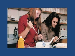 από την αγροτική κοινωνία στην κοινωνία της πληροφορίας