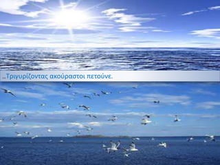 …Τριγυρίζοντας ακούραστοι πετούνε.
 