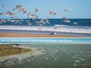 Και για κανένα ψάρι τα μάτια τους ακοίμητα , στα ξάρτια …
 