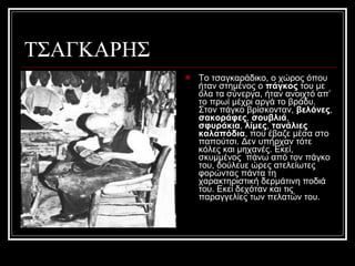 ΤΣΑΓΚΑΡΗΣ
 Το τσαγκαράδικο, ο χώρος όπου
ήταν στημένος ο πάγκος του με
όλα τα σύνεργα, ήταν ανοιχτό απ’
το πρωί μέχρι αργά το βράδυ.
Στον πάγκο βρίσκονταν, βελόνες,
σακοράφες, σουβλιά,
σφυράκια, λίμες, τανάλιες
καλαπόδια, που έβαζε μέσα στο
παπούτσι. Δεν υπήρχαν τότε
κόλες και μηχανές. Εκεί,
σκυμμένος πάνω από τον πάγκο
του, δούλευε ώρες ατελείωτες
φορώντας πάντα τη
χαρακτηριστική δερμάτινη ποδιά
του. Εκεί δεχόταν και τις
παραγγελίες των πελατών του.
 