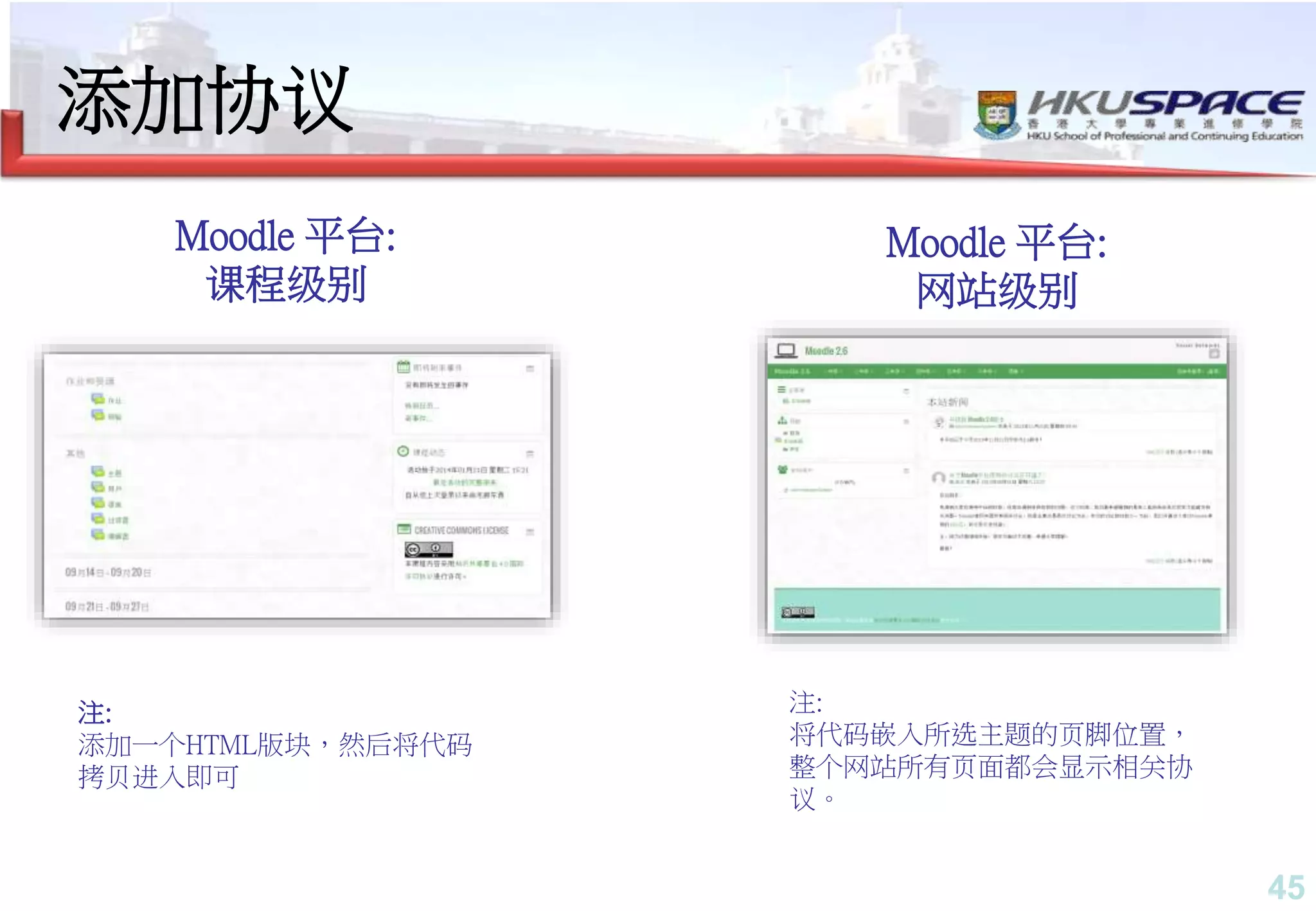 45
添加协议
Moodle 平台:
课程级别
注:
添加一个HTML版块，然后将代码
拷贝进入即可
注:
将代码嵌入所选主题的页脚位置，
整个网站所有页面都会显示相关协
议。
Moodle 平台:
网站级别
45
 