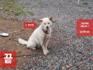 끝
나 팬션개
내년에도
재밌게~~
감사합니다.
 