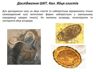 Дослідження ШКТ. Кал. Яйця глистів
Для дослідження калу на яйця глистів та найпростіших відправляють тільки
свіжовиділений кал( вегетативні форми найпростіших у зовнішньому
середовищі швидко гинуть). На малюнку аскарида, незапліднене та
запліднене яйце аскариди.
 