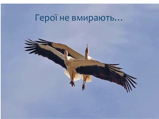 Герої не вмирають…
 