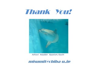 Thank You!
misumit@chiba-u.jp
Ashizuri Kaiyokan Aquarium, Kouchi
 