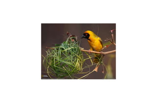 กดที่นี่